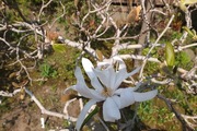 DSCF0611_R