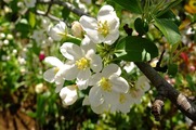 DSCF2457_R