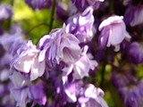 DSCF0874_R