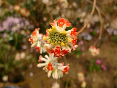 DSCF1362_R