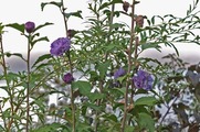 DSCF6043_R