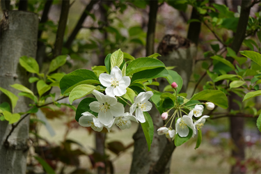 DSC06540_R