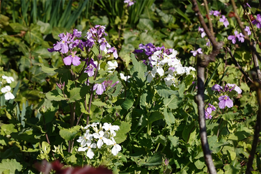 DSC05933_R