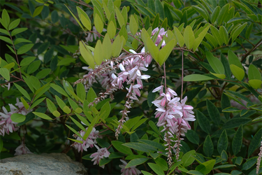 DSC08714_R