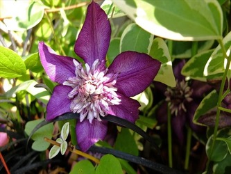 DSCF7980_R