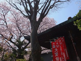 DSCF8209_R