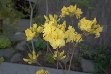 DSC06715_R