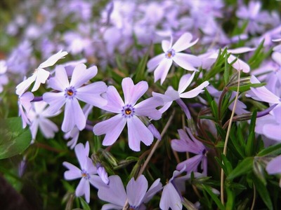 DSCF5111_R