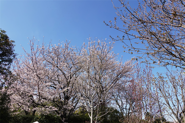 DSC06367_R