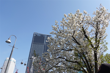 DSC06292_R