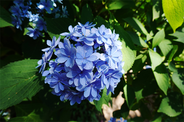 DSC03069_R