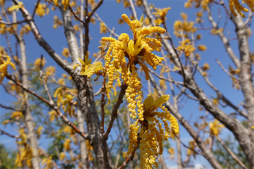 DSC06150_R