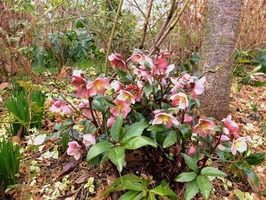 DSCF6744_R