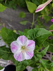 IMG_20190914_143522_1_R