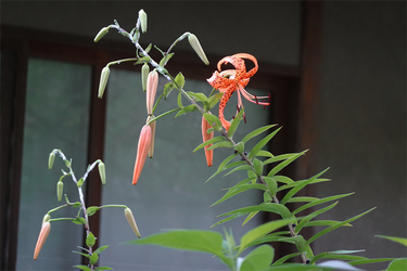 DSC08668_R