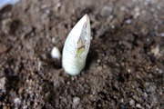 DSCF0347_R