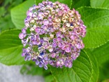 DSCF2663_R