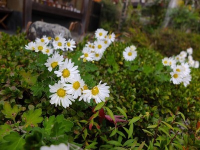DSCF0034_R