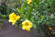 DSCF4290_R