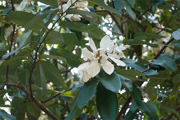DSC06227_R