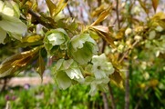 DSCF2431_R