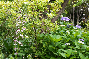 DSC08173_R
