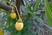 DSCF4827_R
