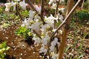 DSCF2448_R