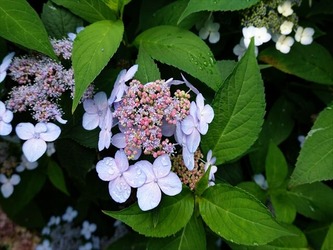 DSC00811_R