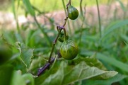 DSCF5261_R