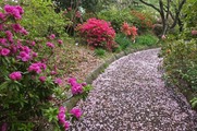DSCF2577_R