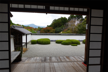 DSC03619_R