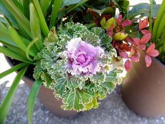 DSCF8321_R
