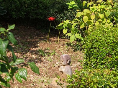 DSCF5572_R
