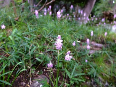 DSCF5267_R