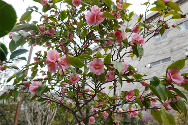 DSC05801_R