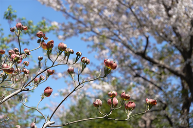 DSC06614_R