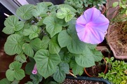 DSCF4456_R