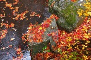 S0587140_R