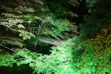 DSC09467_R