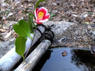 DSCF8352_R