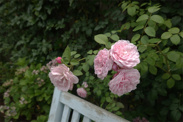 DSC08762_R