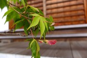 DSCF6031_R