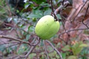 DSCF6280_R