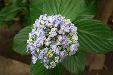 DSC08646_R