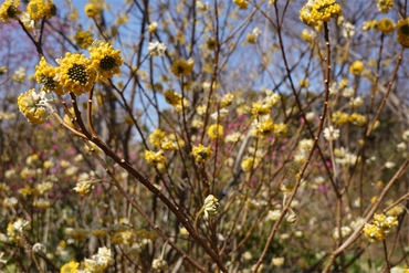 DSC05943_R