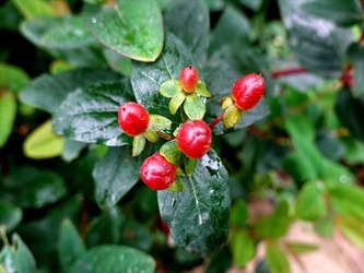DSC01202_R
