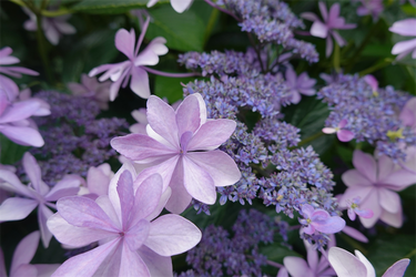 DSC08417_R