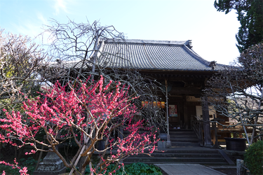 DSC00493_R