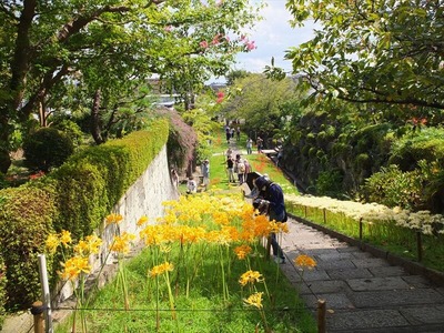 DSCF5629_R